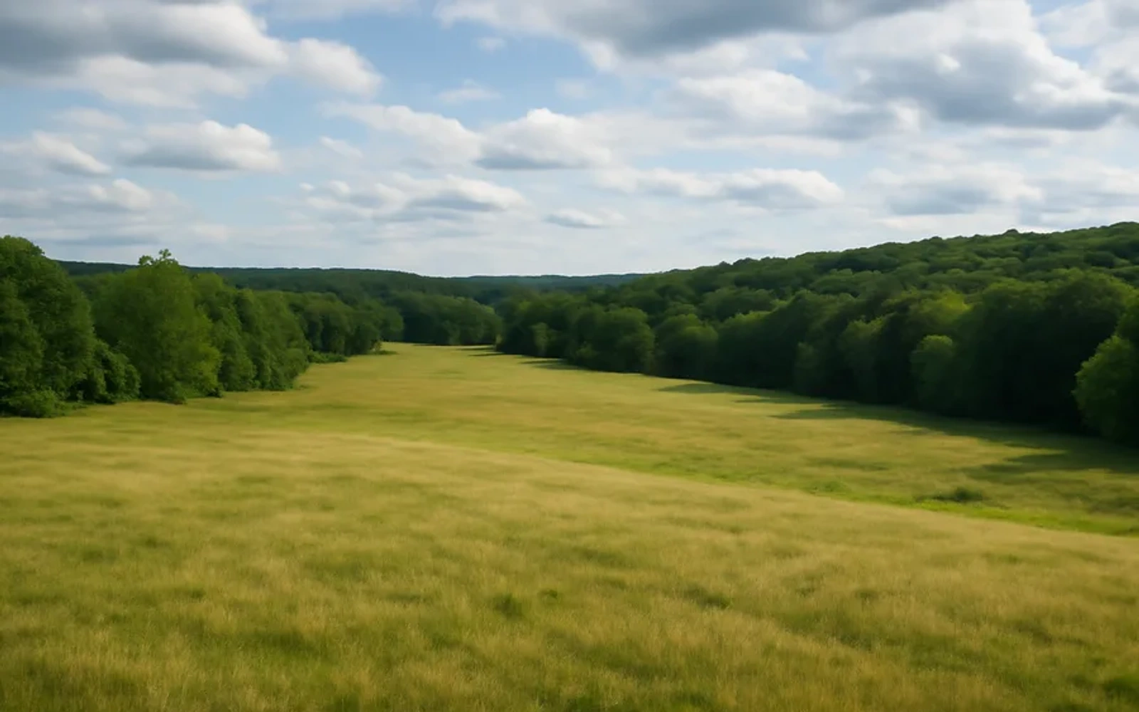Rural acreage in Androscoggin County