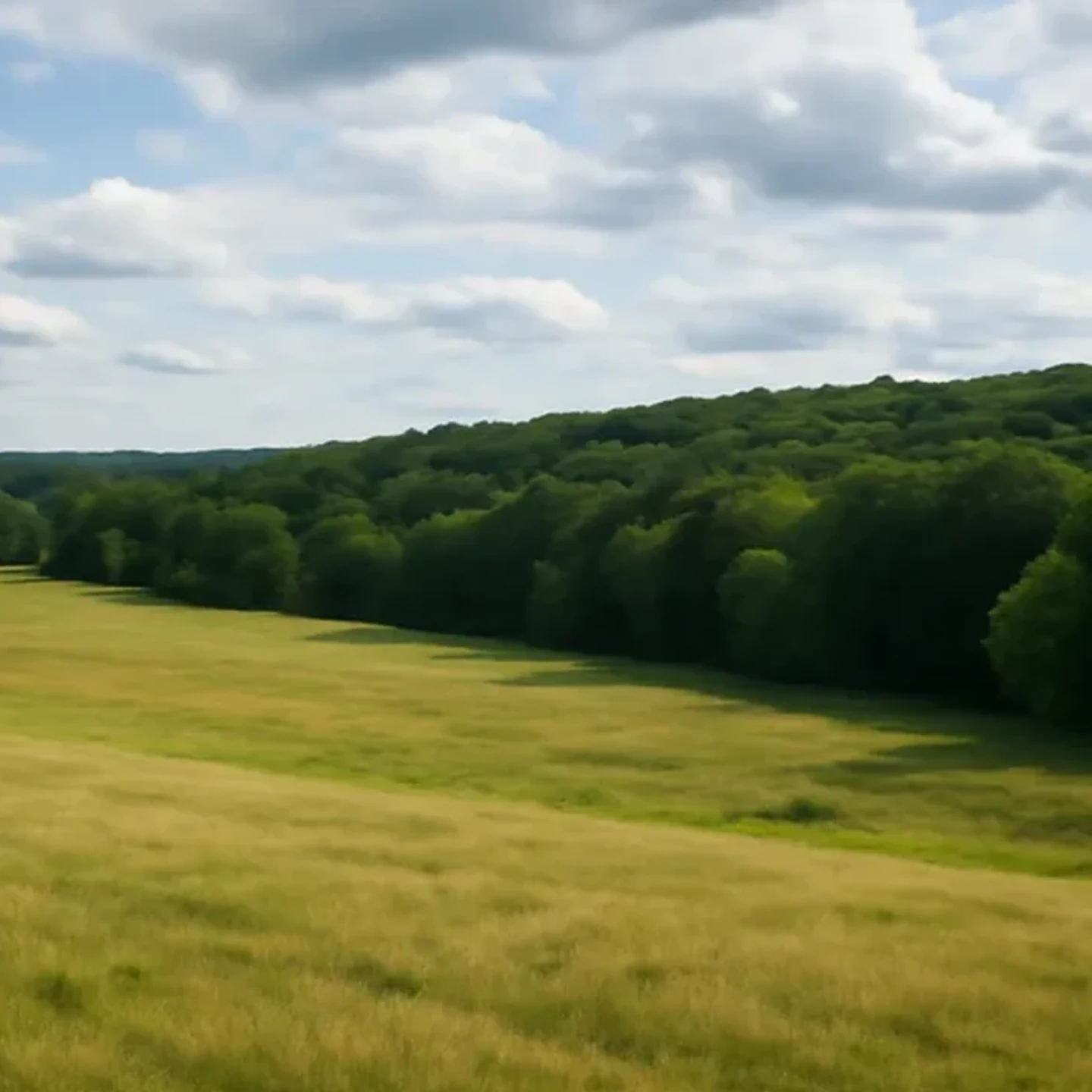 Auburn vacant land, wooded acreage, and rural parcels in Maine